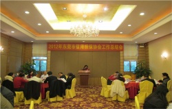 2013年1月，担保协会工作总结会议